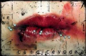 candicevodka